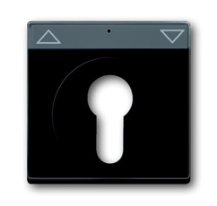 Накладка для механизма 2712/2713 USL, 2722/2723 USL, 2733 USL, поле для надписи, Future/Axcent/Carat/Династия, черный бархат | 2CKA001710A3902 | ABB